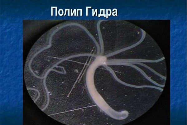 Кракен ссылка gigageek ru