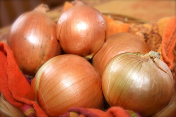 Рабочие ссылки и зеркала кракен