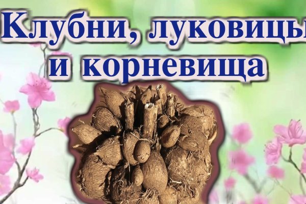 Какая ссылка у кракена